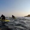 Mawgan porth rescue boards